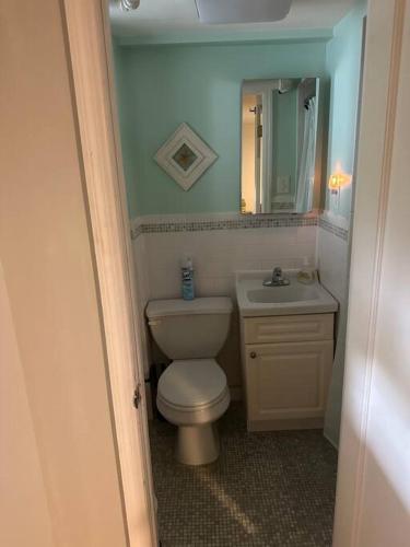 a bathroom with a white toilet and a sink at Morris Park area(very close to Jacobi Hospital in Morris Park
