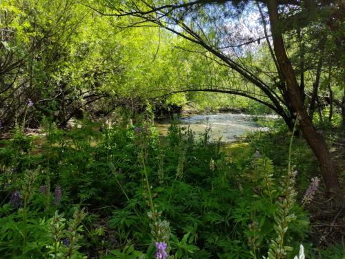 Cabañita junto al Río – Photos 3