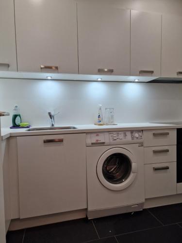 eine Küche mit einer Waschmaschine und einem Waschbecken in der Unterkunft Bastis City Rooms in Luzern