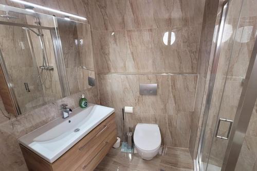 a bathroom with a toilet and a sink and a shower at Luxusní apartmán nedaleko centra in Prague