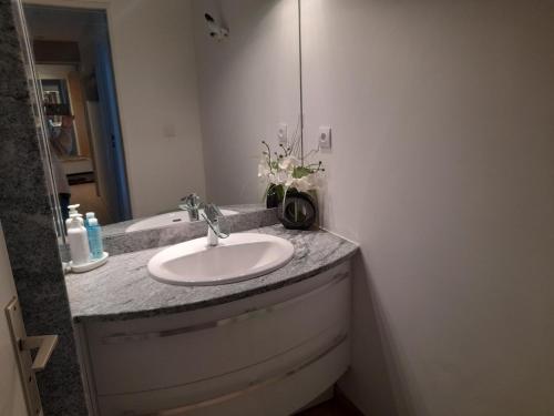 een badkamer met een wastafel en een spiegel bij Appartement Arcachon, 3 pièces, 6 personnes - FR-1-319-449 in Arcachon