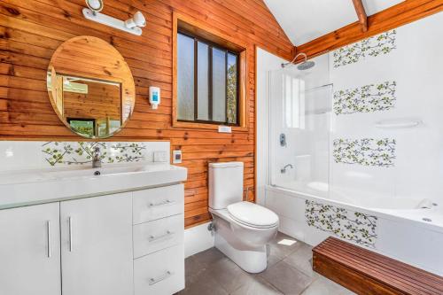 a bathroom with a toilet and a sink and a mirror at Beau Cabin One Bedroom Cabin on Golf Course in Kangaroo Valley