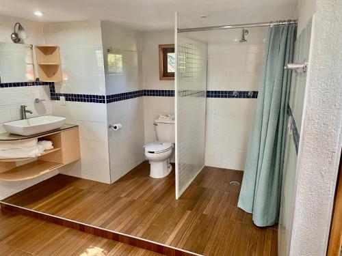 a bathroom with a toilet and a shower and a sink at Cabañas el Chalet in Morelia