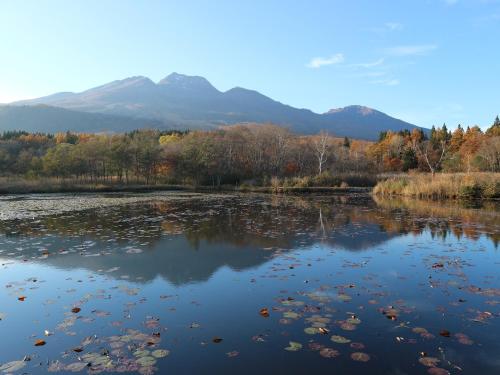 a river with trees and mountains in the background at 池の平温泉 ロッジ コクハ in Myoko