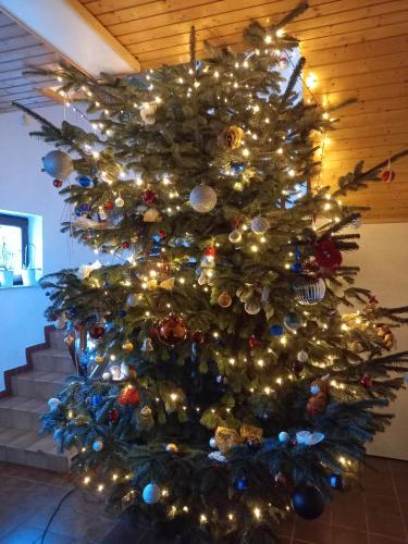 a christmas tree is decorated with lights at Tina a Petr , Lunz am See in Lunz am See