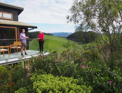 two people standing on the deck of a house at Kotare BandB in Geraldine