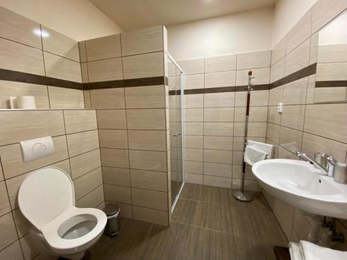 a bathroom with a toilet and a sink at Hotel Zámeček na Čeladné in Čeladná