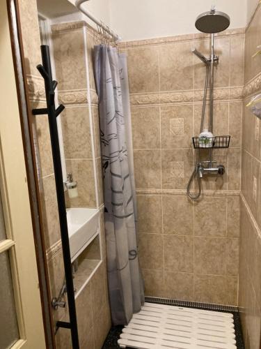 bagno con doccia e lavandino di Tulip Apartment a Praga
