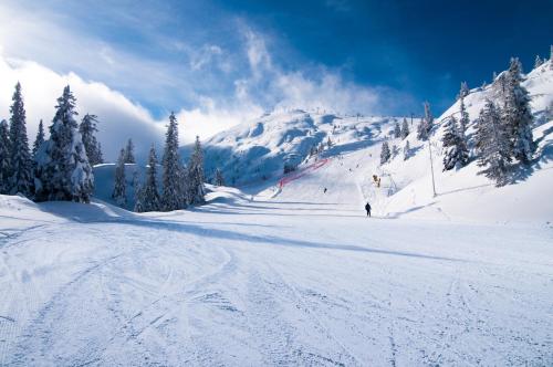 a person skiing down a snow covered mountain at Hotel Fontanella in Molveno