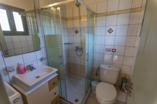 y baño con ducha, aseo y lavamanos. en Watermill Villa en Svoronata