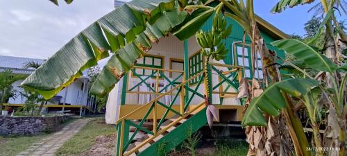a house with banana trees in front of it at Hotel YELLOW HOME Providencia Isla in Providencia