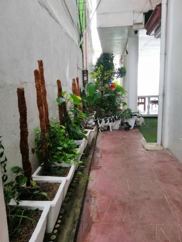 a corridor of a building with potted plants at Germaroze in Oslob