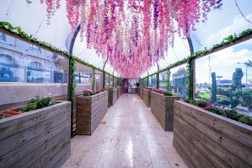 a greenhouse with pink flowers hanging from the ceiling at Olive Tree Amman in Amman