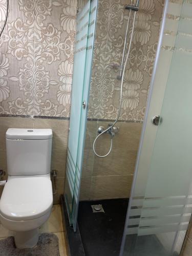 a bathroom with a toilet and a shower at Awesome Villa on a hill Families only in Cairo