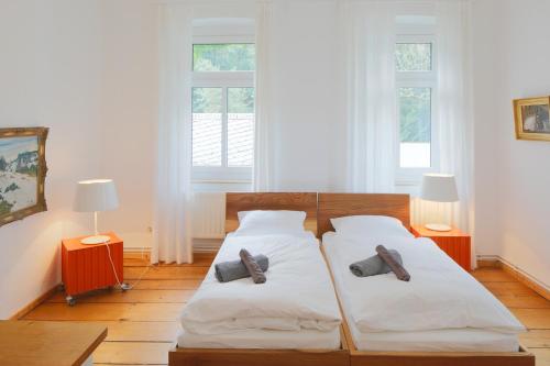 1 dormitorio con 2 camas y 2 ventanas en Schöna Einliegerwohnung, en Reinhardtsdorf