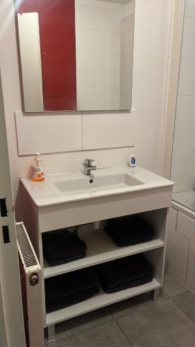 uma casa de banho com um lavatório branco e um espelho. em Appartement type T3 vaulx la soie em Vaulx-en-Velin