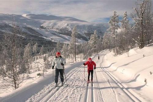 two people are skiing down a snow covered slope at Jotunheimen/Besseggen/7ppl/View/Amazing hikes in Randsverk