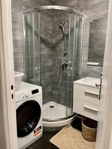 une douche dans une salle de bain avec machine à laver dans l'établissement Appartement situé au centre ville d’alfortville, à Alfortville