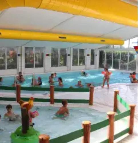 a group of people in a swimming pool at Chalet in Oostkapelle in Oostkapelle
