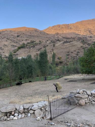 a field with two cows and a hill at Spring Family Guest House in Tersak