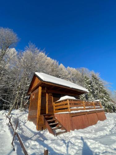 a small wooden cabin in the snow with trees at Babia Raj Zawoja in Zawoja