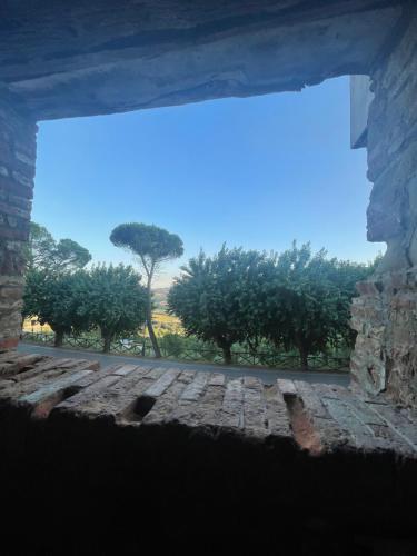 La casa di Carolina – Photos 3