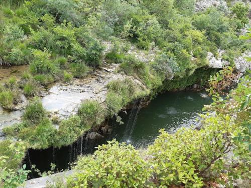 an aerial view of a river in a forest at KITOKO L'HERAULT gite close to SALAGOU Lake in Clermont-lʼHérault