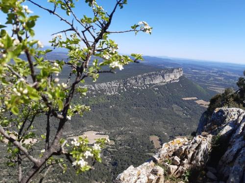 a view of the blue mountains from the top of a mountain at KITOKO L'HERAULT gite close to SALAGOU Lake in Clermont-lʼHérault
