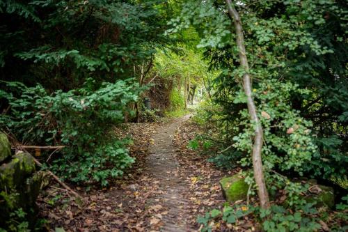 a path in a forest with leaves on the ground at The Keep at Castlegate - Luxury detached retreat in Cragg vale, Hebden Bridge in Mytholmroyd