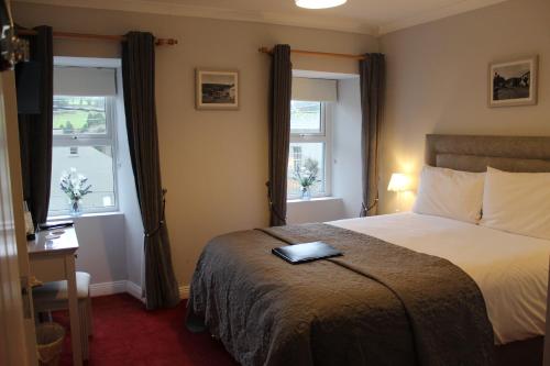 a hotel room with a bed and two windows at Madelines Accommodation in Tinahely