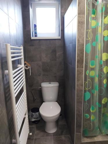 a small bathroom with a toilet and a window at BeKiVi apartmány in Dunajská Streda