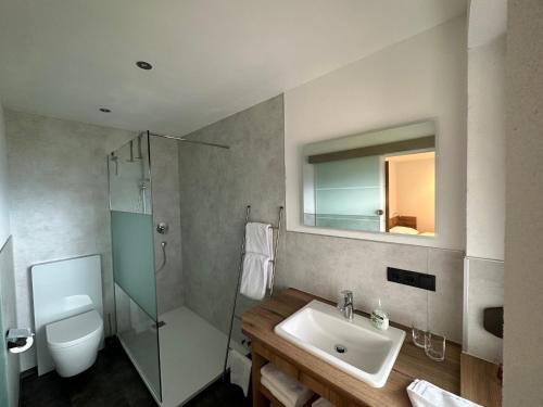 ein Bad mit einem Waschbecken, einer Dusche und einem WC in der Unterkunft Ferienwohnungen Bailom in Elbigenalp