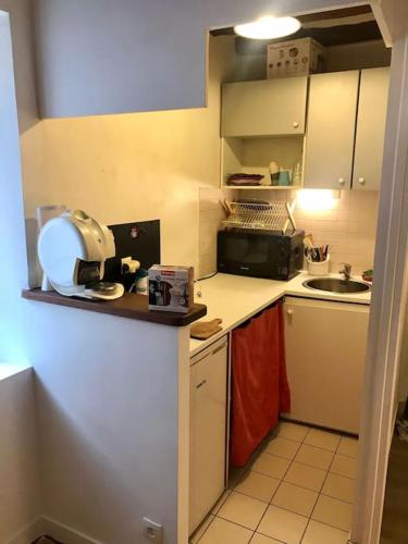 une petite cuisine avec un évier et un micro-ondes dans l'établissement LOVELY DUPLEX in the center of FONTAINEBLEAU, à Fontainebleau
