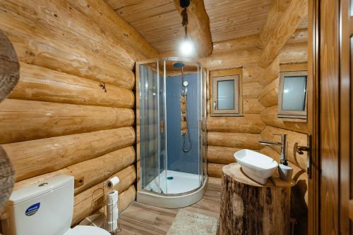 uma casa de banho com um chuveiro, um WC e um lavatório. em Rustic Chalet em Călăţele