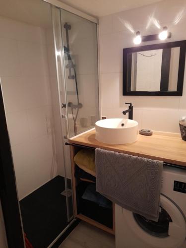 een badkamer met een wastafel en een douche bij Maisonnette à deux pas de la plage dans résidence calme in La Tranche-sur-Mer
