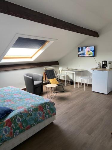 TV a/nebo společenská místnost v ubytování Joli studio centre-ville Vendôme