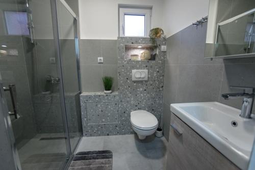 a bathroom with a toilet and a shower and a sink at Tanis Apartments in Niš