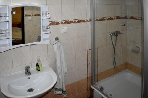 y baño con lavabo y ducha. en Penzión Ivana en Bardejov