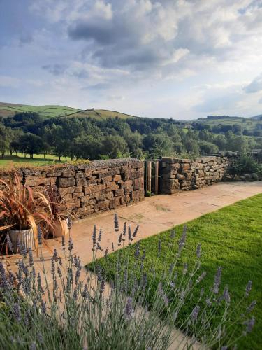 a stone wall next to a grassy field at Woodcock Farm Holidays in Glossop