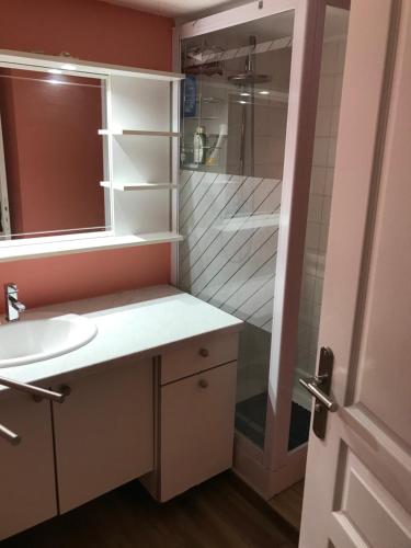 a bathroom with a sink and a shower at Rez de Jardin intégral Disney & Paris & Sites Olympiques in Chelles