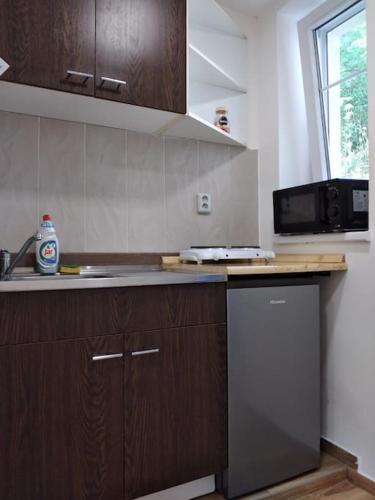 a kitchen with a sink and a microwave at Vybavená garsonka v cihlovém domě v centru in Jeseník