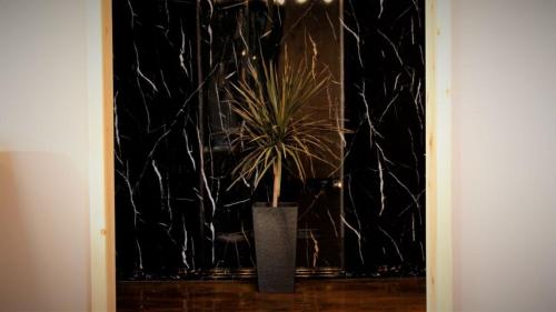 a potted plant sitting in front of a window at Aurora Golan in Buq‘ātā