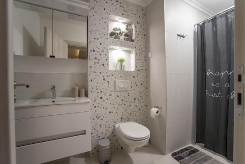 a bathroom with a toilet and a sink and a shower at Tanis Apartments in Niš