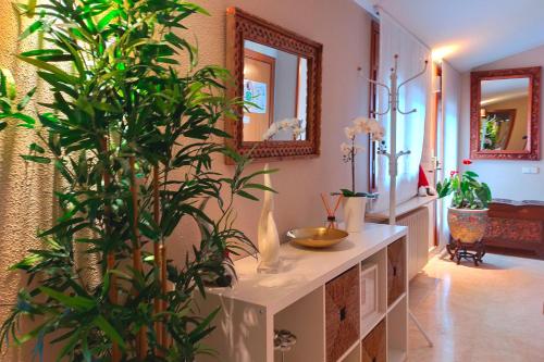 a hallway with a counter with plants and a mirror at Amplio ático con terraza en Andorra centro in Escaldes-Engordany