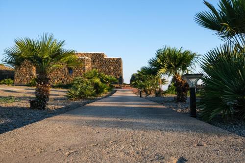 a pathway with palm trees in front of a building at Dammusi Al-Qubba Wellness & Resort in Pantelleria
