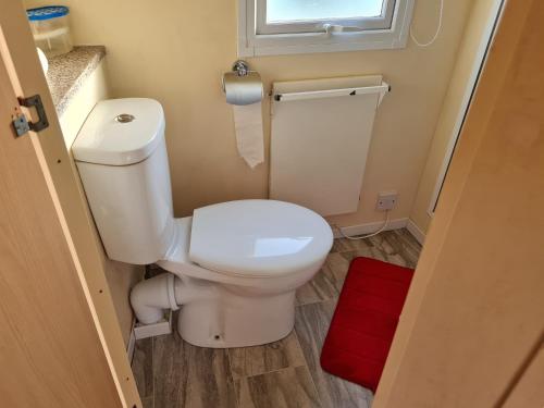 a small bathroom with a toilet and a window at The Hidden Gem in Galloway Forrest in Balminnoch