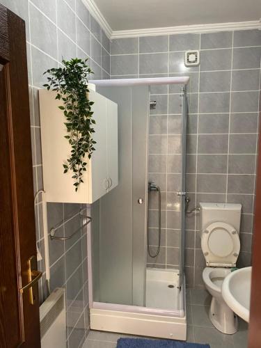 een badkamer met een toilet en een douche met een plant bij Zovin Breg in Zlatibor