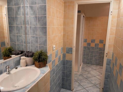 a bathroom with a sink and a shower at Prague apartment in Prague