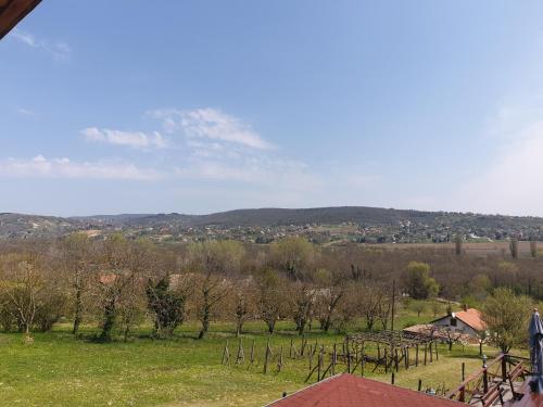 Vilmos Pince Fogadó 8380 Hévíz, Egregyi szőlőhegy kép - 3