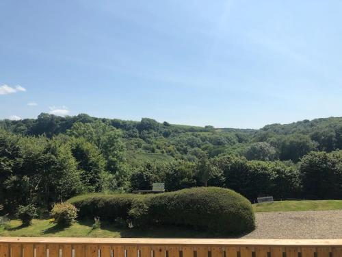 a hedge in front of a fence with a mountain at Meadow Cottage. Pretty modern cottage close to Woolacombe and Lee in Ilfracombe